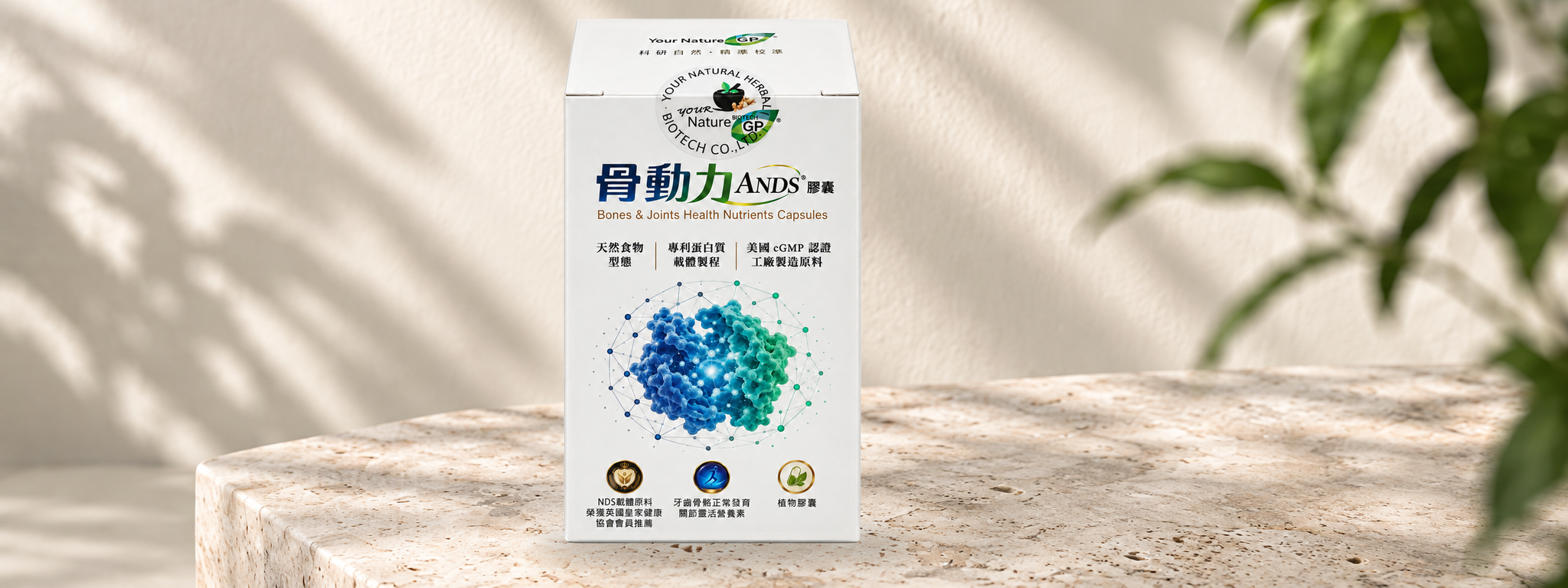 骨動力 ANDS 膠囊盒裝，放在石台上